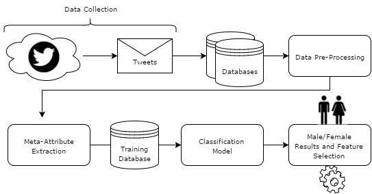 Gender Classification Using Twitter Data